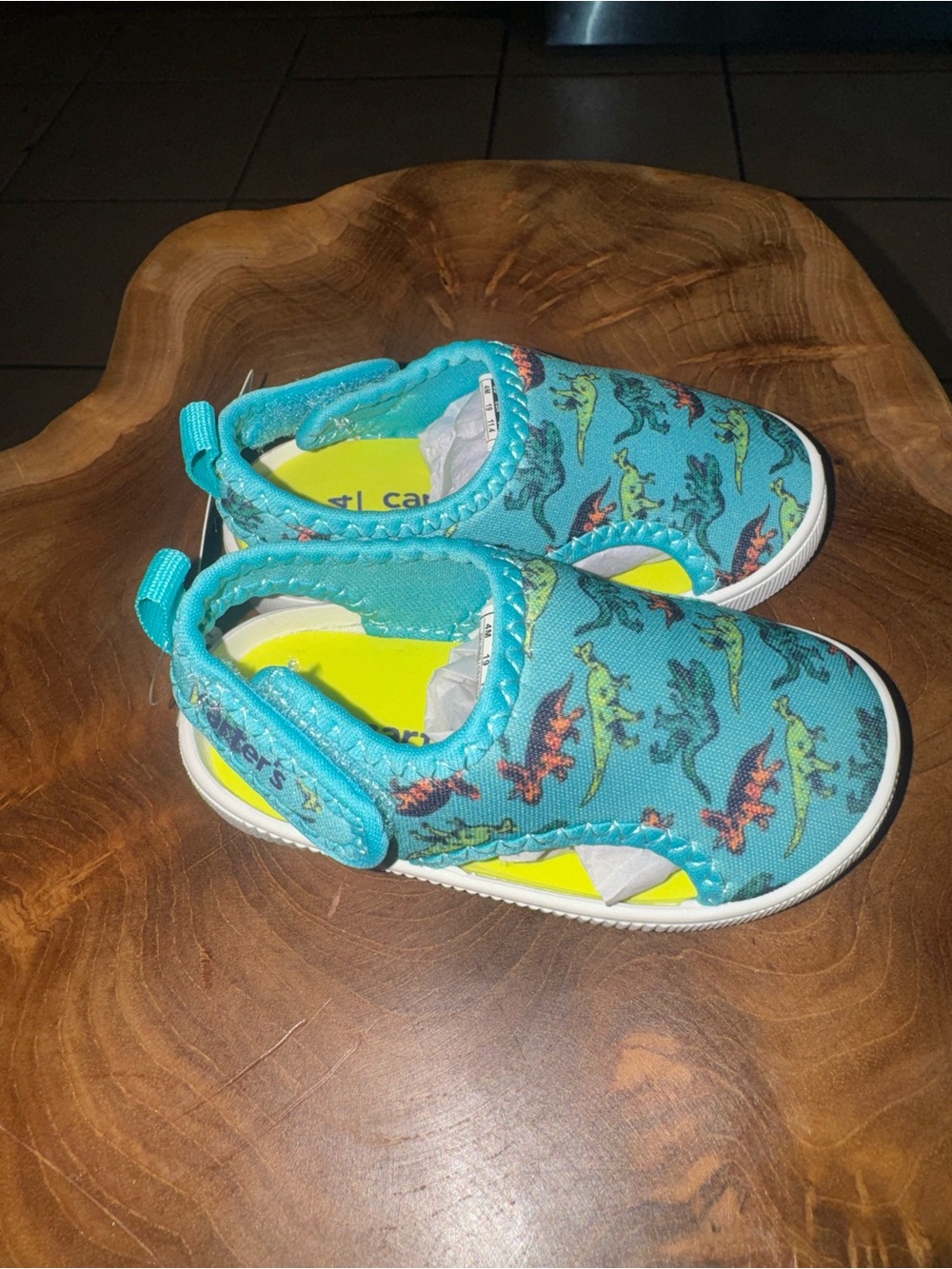 Carter's Turquoise Kids Water Shoes with Dinosaur Print
